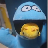 べてた (@ttbta3ec) 's Twitter Profile