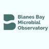 BBMO_BlanesBay's profile picture. Blanes Bay Microbial Observatory: Microbes, ecology, biogeochemistry. run by @EMM_Barcelona, @ICMCSIC