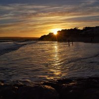 lcpirate43 (@lcpirate1) 's Twitter Profile