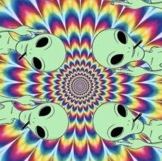 brodie_edwards's profile picture. smoke weed get girls and kick it
