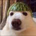 CRSUX (@cr_sux) Twitter profile photo CRSUX (@cr_sux) Twitter profile photo