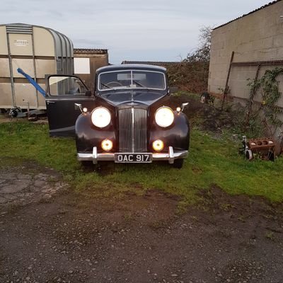 IanWood52819938's profile picture. 