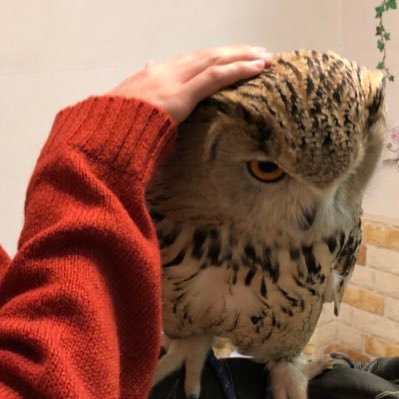 ゆうさんのプロフィール画像