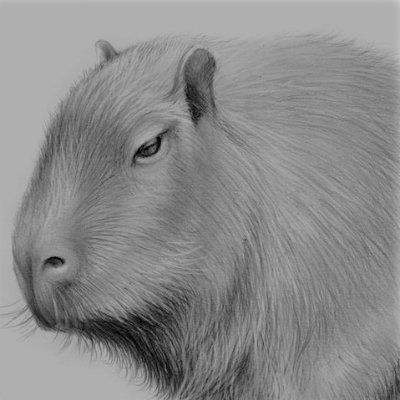 adanai_py's profile picture. 