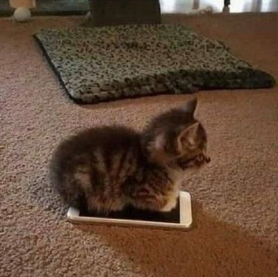 sleeyjyyy's profile picture. 