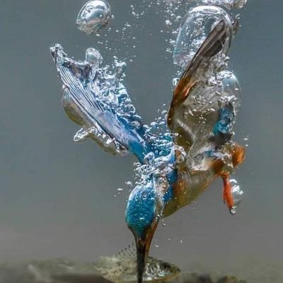 gorandiayemboup's profile picture. تعليم القرآن