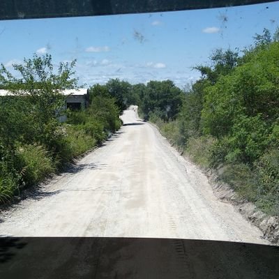 loco de atar