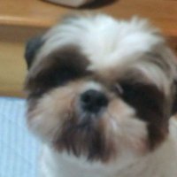 テンテン (@ten0813ten) 's Twitter Profile Photo