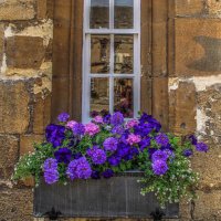 منار بنت سليمان (@mnss__8) Twitter profile photo