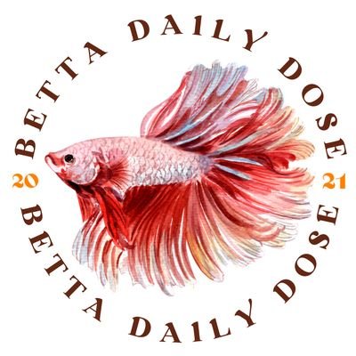 Betta Daily Dose