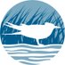 SCCF (@sccf_swfl) Twitter profile photo SCCF (@sccf_swfl) Twitter profile photo
