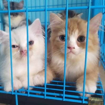 frkinmth's profile picture. Hmm