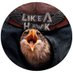 Like A Hawk (@likeahawkrock) Twitter profile photo