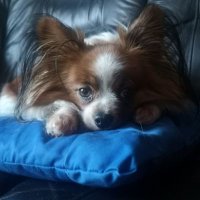 Gunn Rita (@gunnrita1) 's Twitter Profile