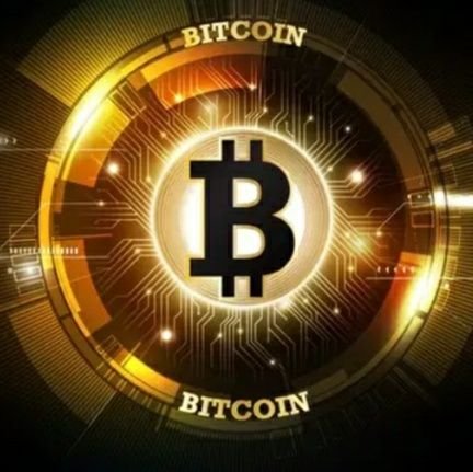 Bitcoin65121316's profile picture. 