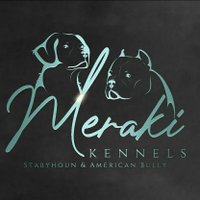 Meraki Kennels(@MerakiKennels) 's Twitter Profile Photo