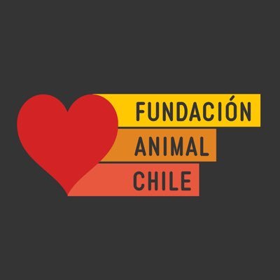 Rescatamos y rehabilitamos animales abandonados 🐕🐎. Les buscamos un hogar definitivo donde los cuiden y amen