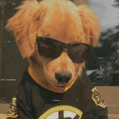 joelito82146229's profile picture. Amo mi vida