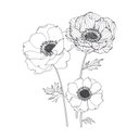 Gina Huff - @GinaHuf33552803 - Twitter