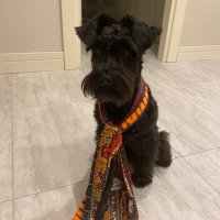 Aslı (@aslikirall) 's Twitter Profile Photo