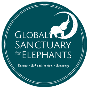 Protecting, rescuing and providing sanctuary for elephants worldwide. First project- Elephant Sanctuary Brazil.