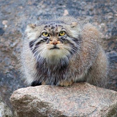 tac_et_al's profile picture. 