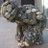 allenFell3's profile image