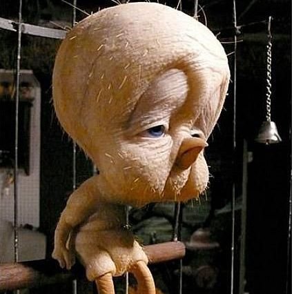 KuchyOsmane's profile picture. job