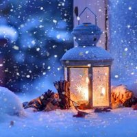 📜ELHussein 📗✒️ (@elhusseinmeshr1) 's Twitter Profile
