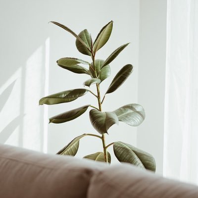 RA14209's profile picture. ...