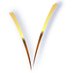 The Vancouver Symphony Orchestra (@vso_usa) Twitter profile photo The Vancouver Symphony Orchestra (@vso_usa) Twitter profile photo