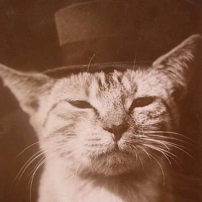 jjm269's profile picture. Here, queer, etc.