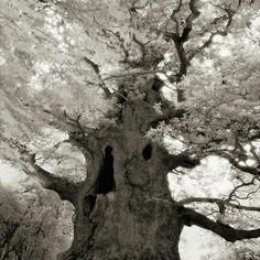 MatresseEmilie2's profile picture. 