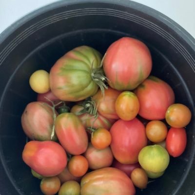 hotpies44's profile picture. 