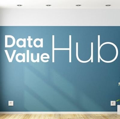 DataValueHub Profile