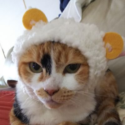 🌹ゆりりん☃️さんのプロフィール画像