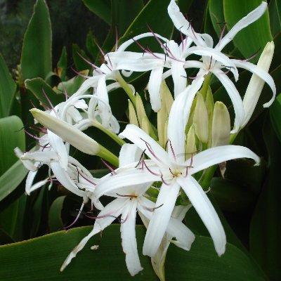 Terri_Jen's profile picture. Stay-at-home parent, Army wife, Air Force veteran of 10+ years.  Socially awkward introvert.  Catholic.  Love animals, traveling, and visiting historic sites.