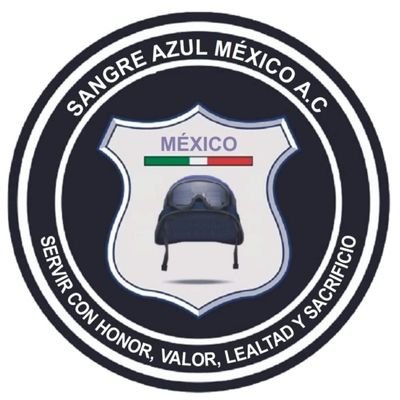 Defendemos los derechos humanos y laborales  de las y los Policías en México. Especialistas en Seguridad Ciudadana. Activistas Sociales.