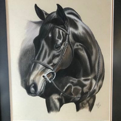 Jonatha55143011's profile picture. Professional Horse Training At Its Best !! Call me Alabama