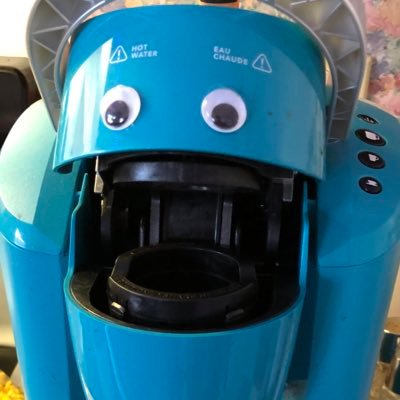 AaronKrouse4's profile picture. I’m that bird