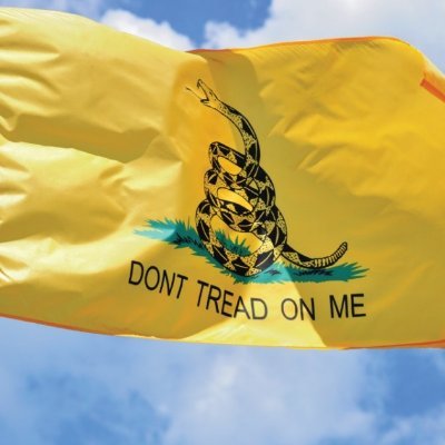 DelLibertarios Profile Picture