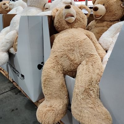 aterui2021's profile picture. 関西のどこか。