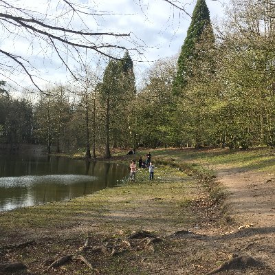 masterrofnone's profile picture. 