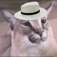 Turkey (@py_turkey) 's Twitter Profile