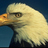 WinstonNorton's profile image