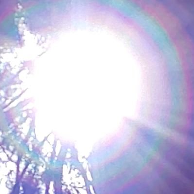 Gtk7w8hDIZLG7Y2's profile picture. 猫ちゃん大好き