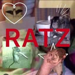 sevensauces's profile picture. prolly living like larry or sum shit