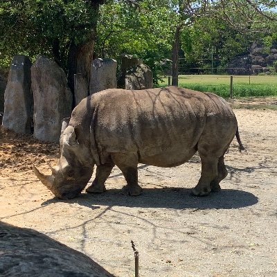 思春期の頃「本当の事が知りたい」と漠然と感じて生きてきた。当時は何が本当で嘘かも分からないまま。

3.11東日本大震災、画面に映る衝撃的な光景に愕然としスイッチが入る。

食、医療、政治、教育、歴史あらゆる分野で嘘にまみれたこの世界。
皆が知れば、裏と表がひっくり返る。微力ながらその助力となる呟きをしたい！