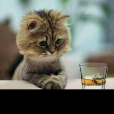 Thabs10687320's profile picture. born to win🕵️‍♀️