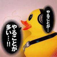 けいざいを回す💸タニー(狂) (@winter25go) 's Twitter Profile